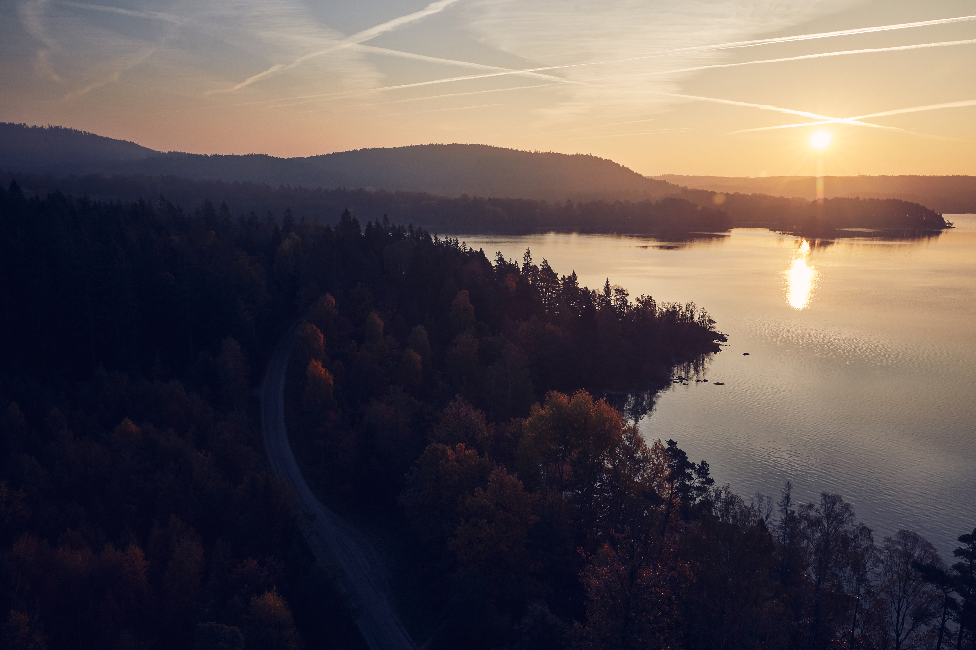 Solen går ner över en skog vid den svenska kusten