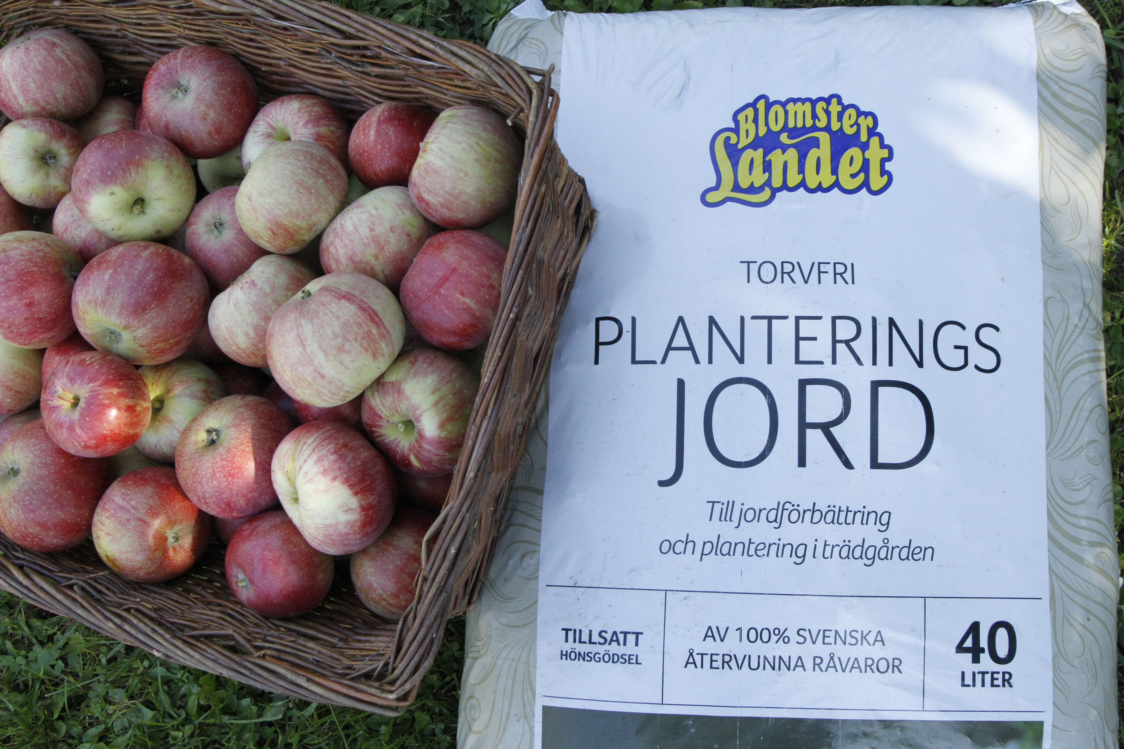 A basket of red apples sits beside a bag of growing soil made from recycled raw materials.