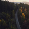 Ein Landschaftsbild des schwedischen Waldes