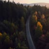 An areal image of Swedish forest
